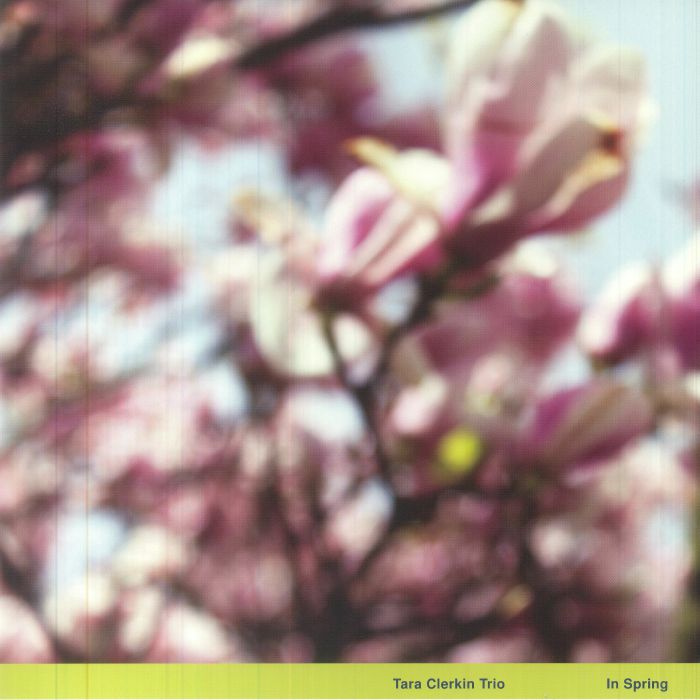 In Spring - Vinyl EP vinyl record cover