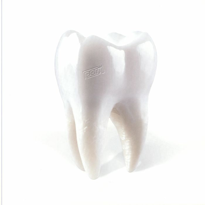 Teething - Vinyl LP vinyl record cover