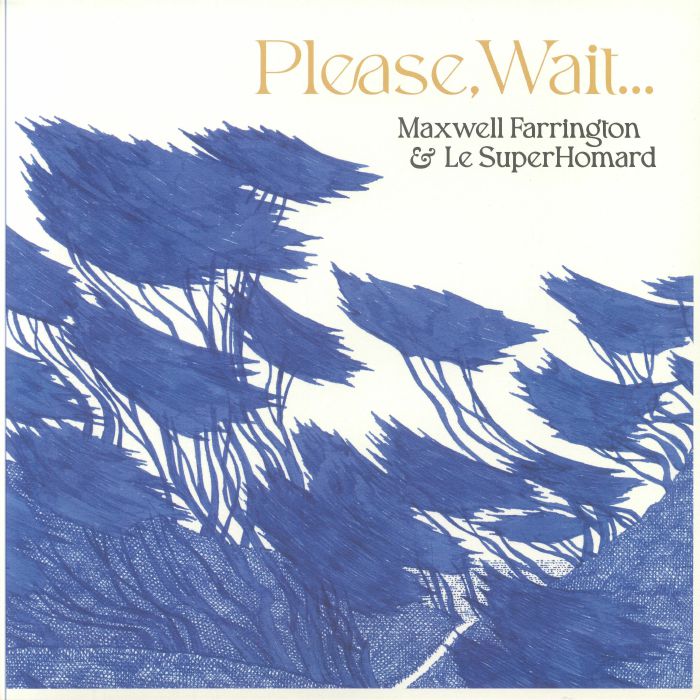 Please, Wait... - Vinyl LP vinyl record cover