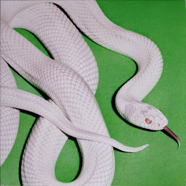 Private Music - 1x Vinyl LP