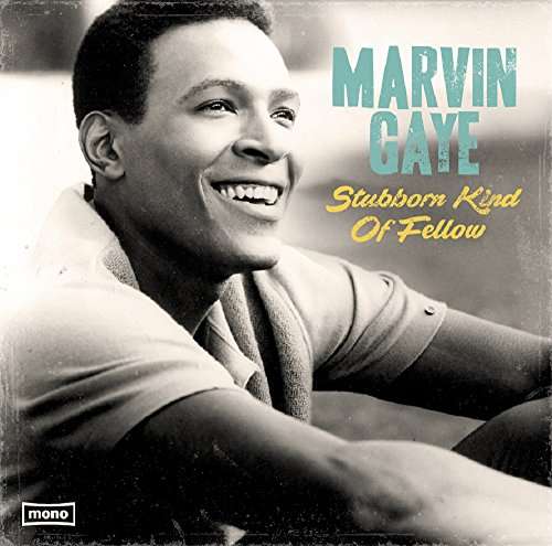 Stubborn Kind Of Fellow - 1x Vinyl LP