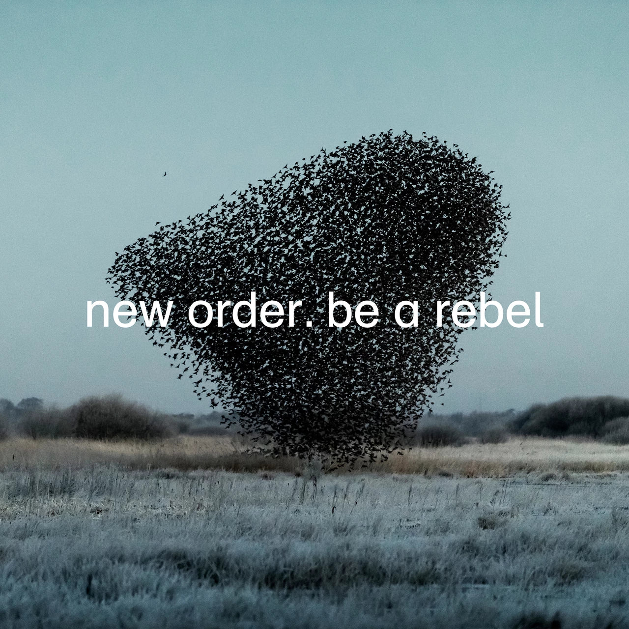 Be A Rebel 12" Vinyl Single