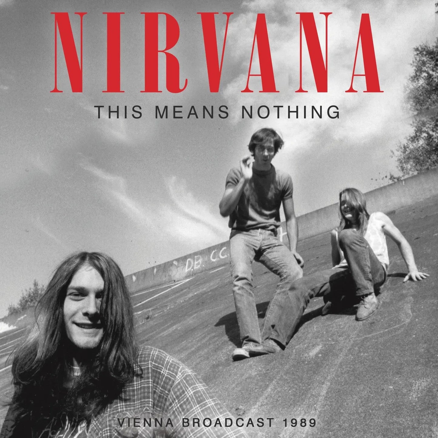 This Means Nothing - 2x Vinyl LP