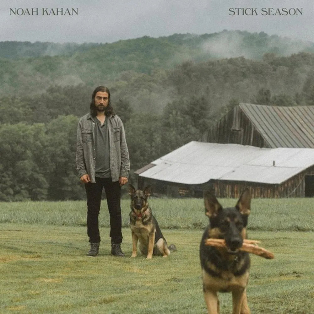 Stick Season - 2x Vinyl LP