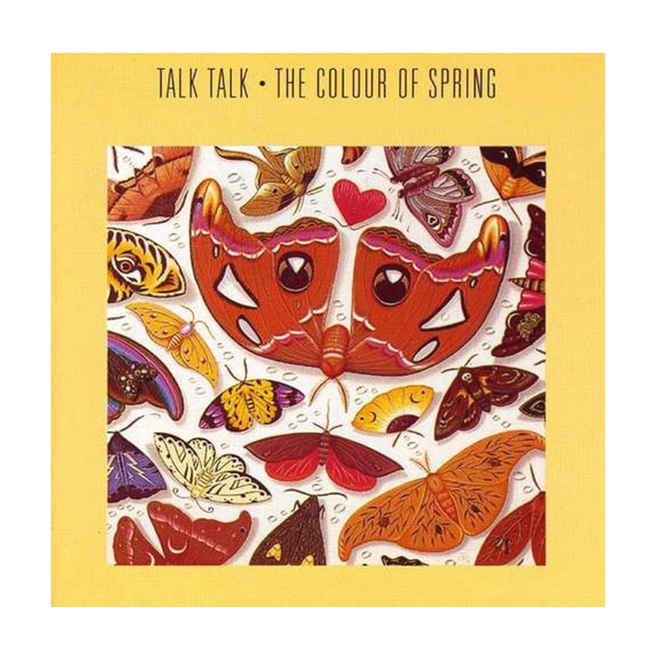 The Colour Of Spring - Vinyl LP + DVD