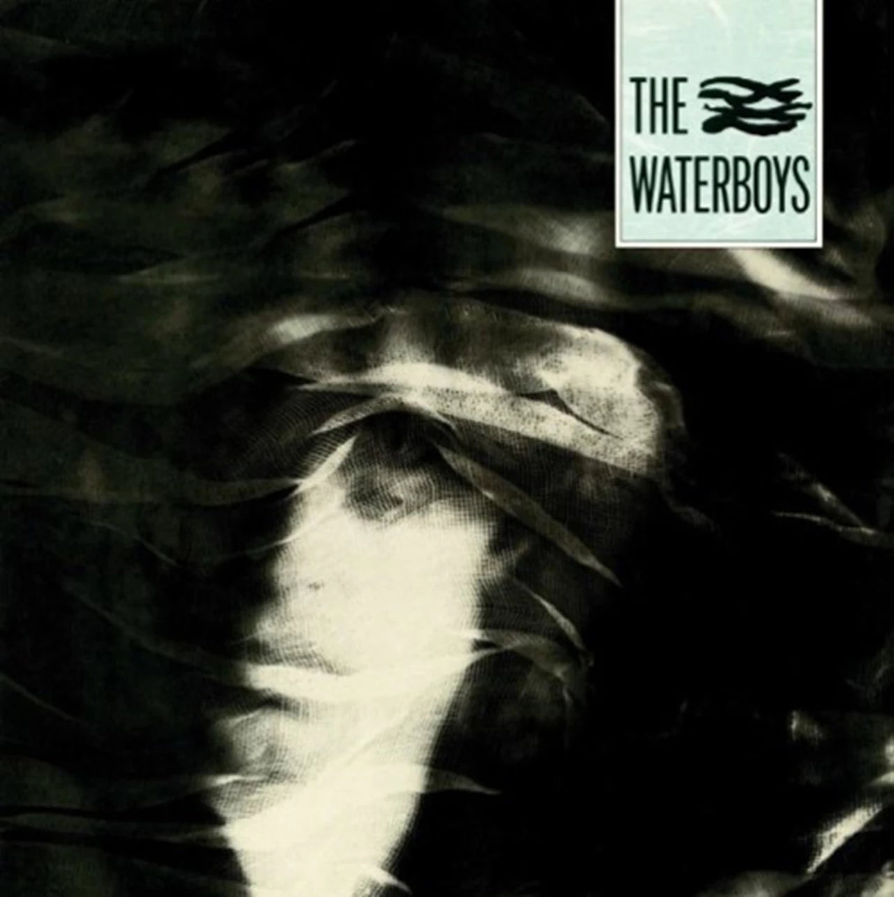 The Waterboys - 1x Vinyl LP