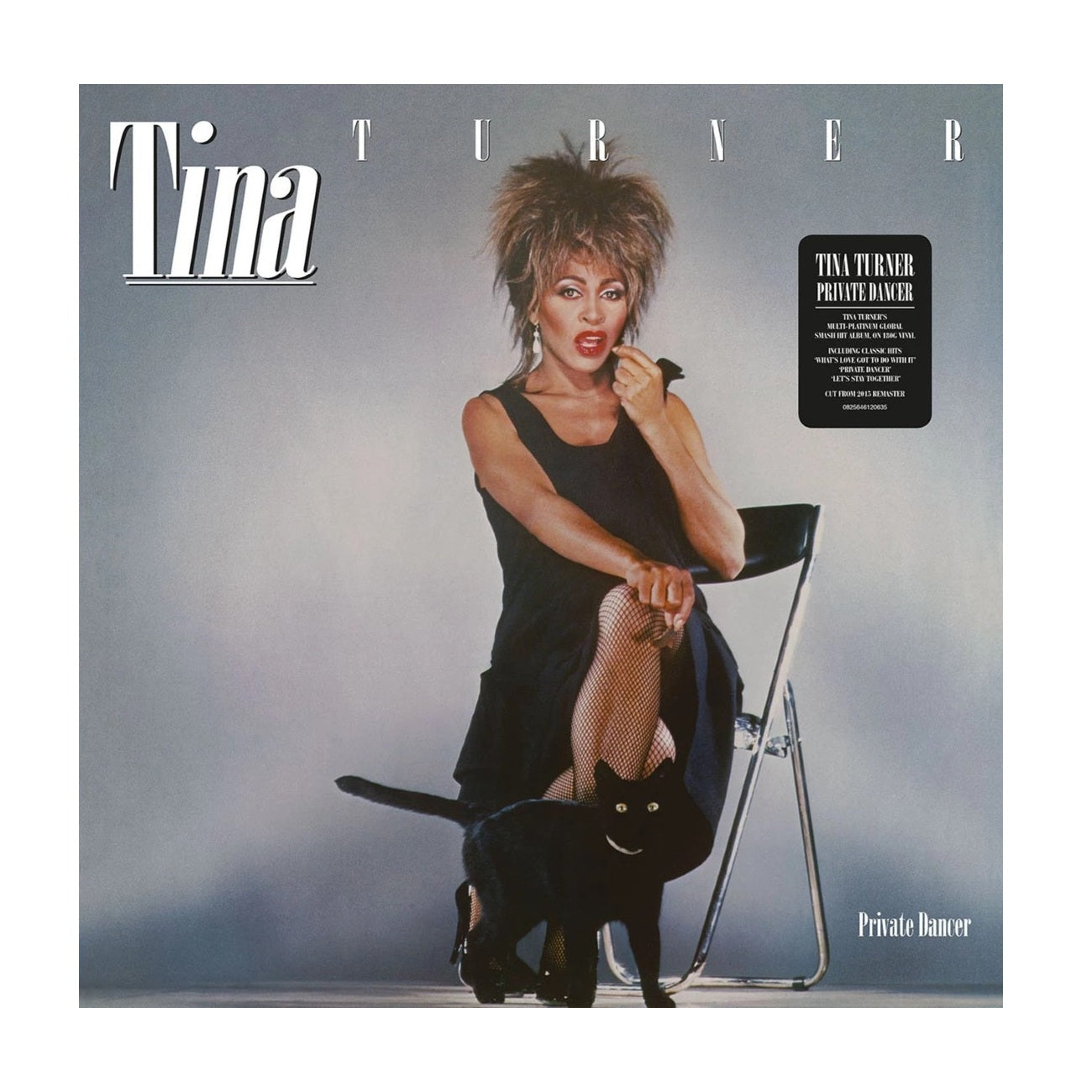 Private Dancer - Vinyl LP