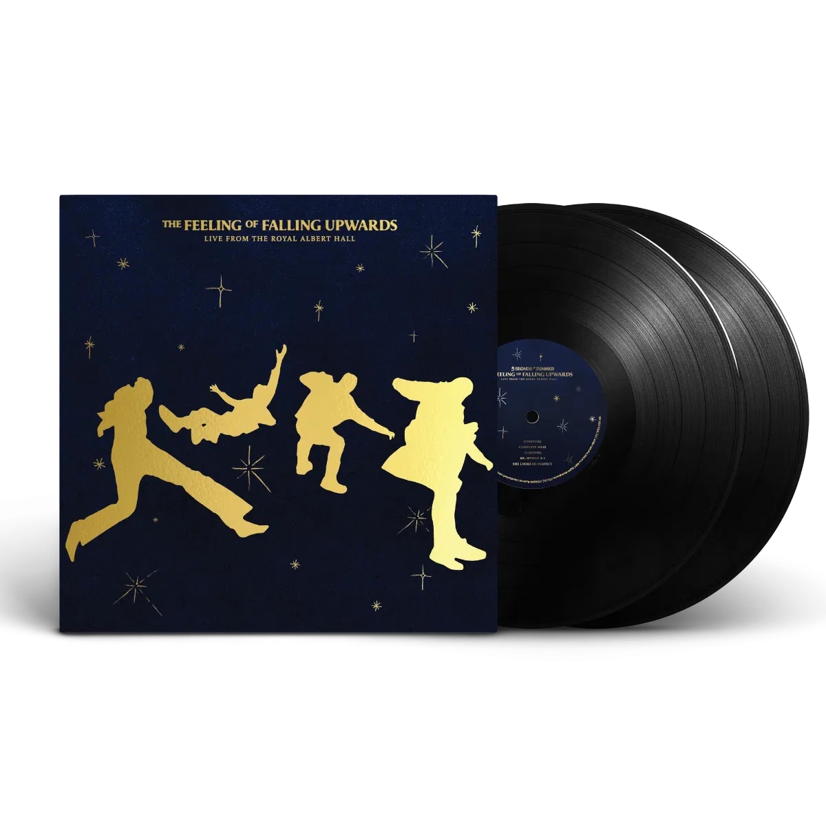 The Feeling Of Falling Upwards - 2x Vinyl LP