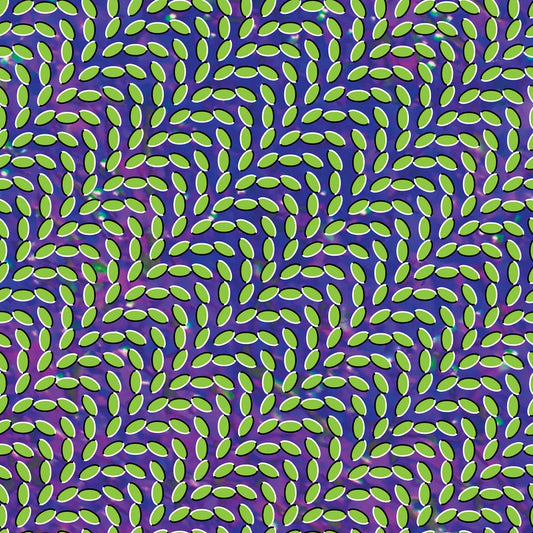 Merriweather Post Pavilion - Deluxe Edition 2x Vinyl LP