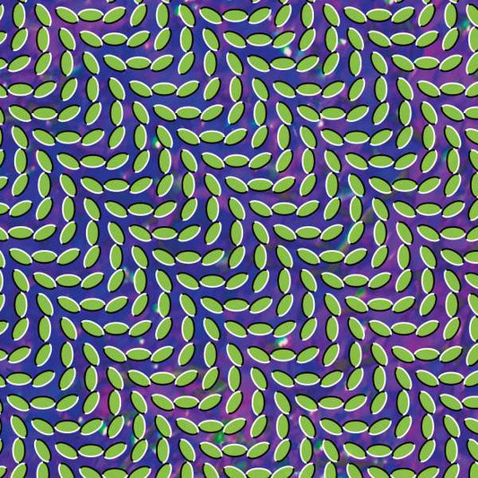 Merriweather Post Pavilion - Deluxe Edition 2x Vinyl LP