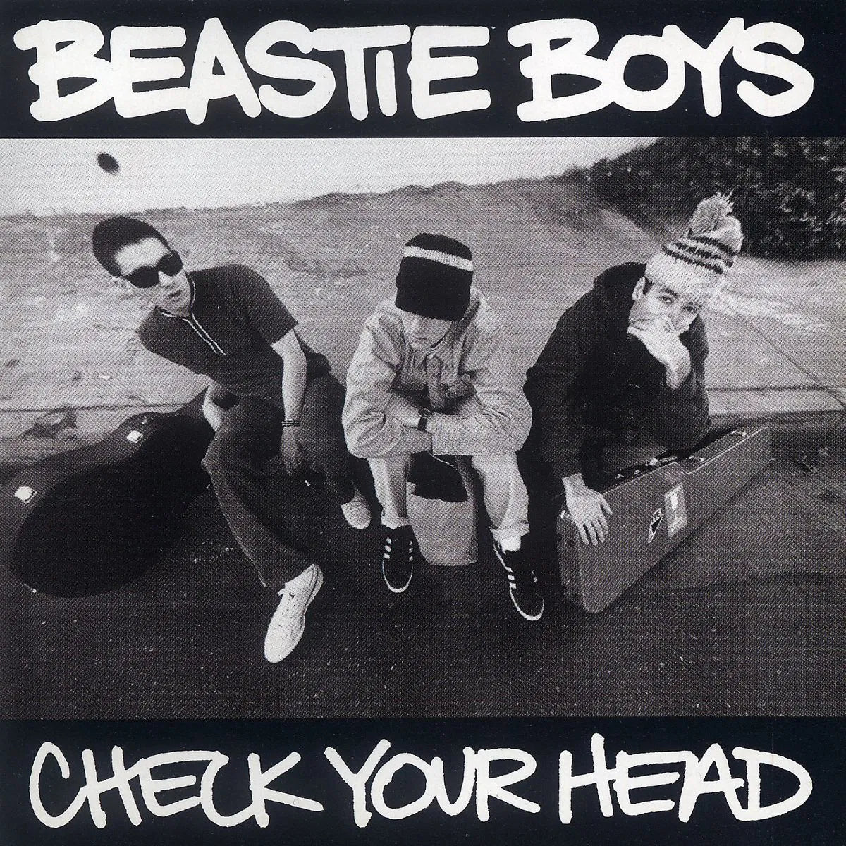 Check Your Head - 2x Vinyl LP