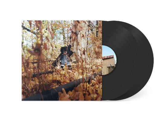 Golliwog - 2x Vinyl LP