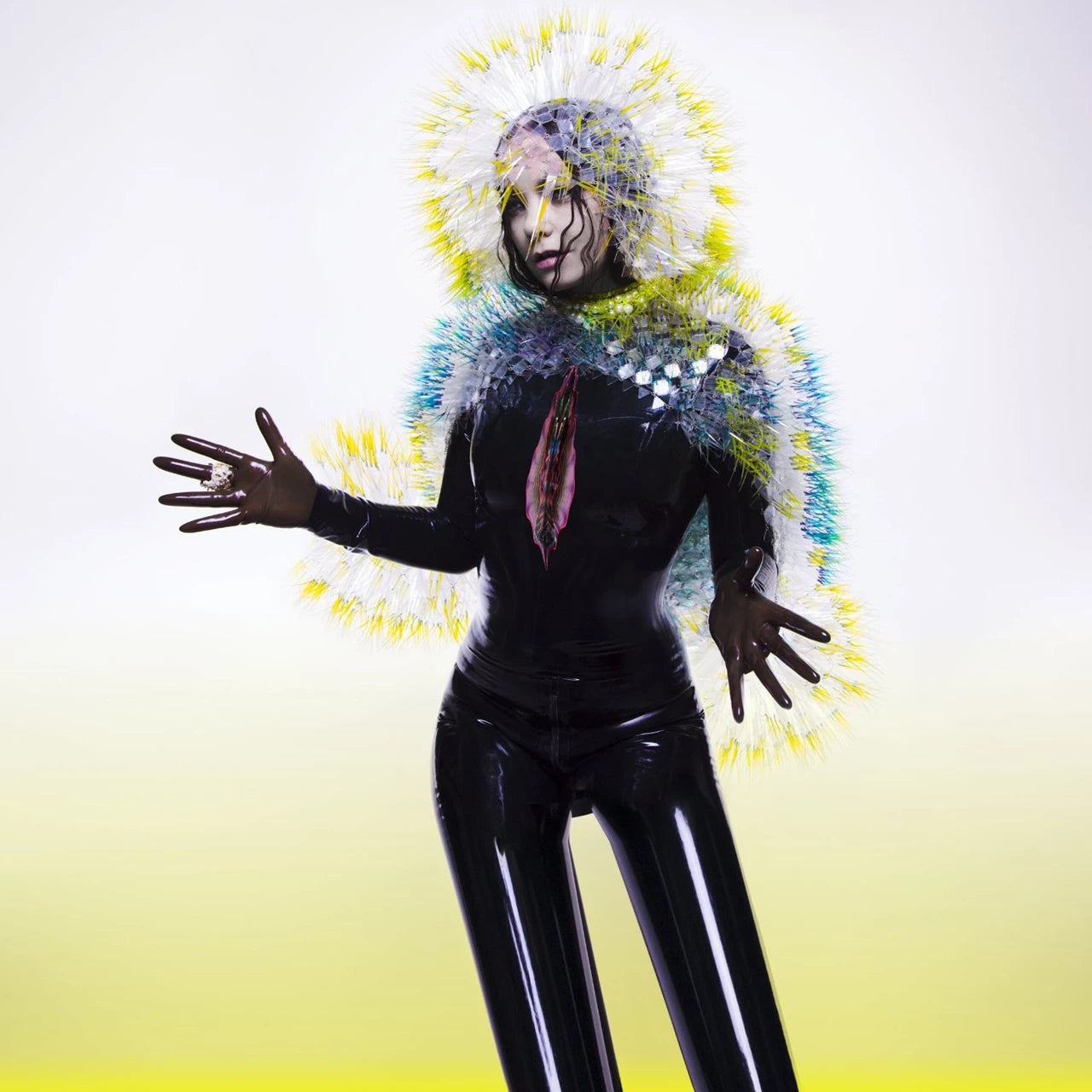 Vulnicura - 2x Vinyl LP