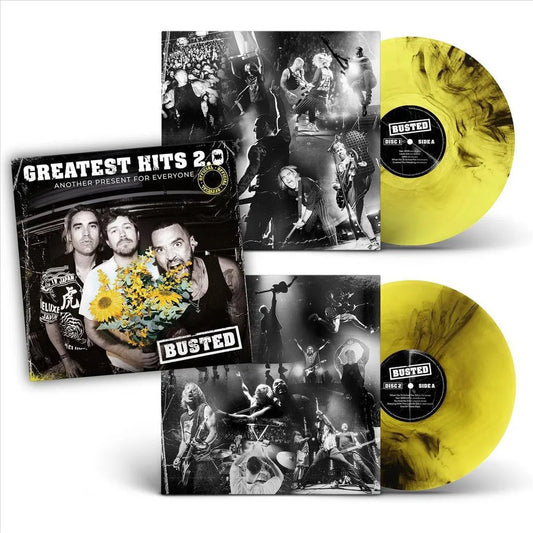 Greatest Hits 2.0: Another Present For Everyone - 2x Black & Yellow Vinyl