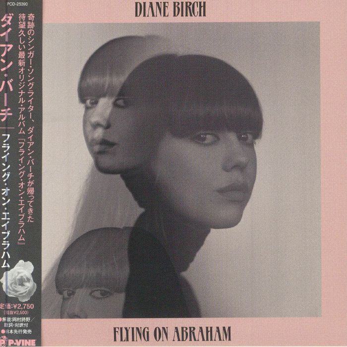 Flying On Abraham - CD CD cover