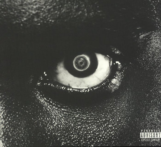 Lithopedion - 2xLP vinyl record cover