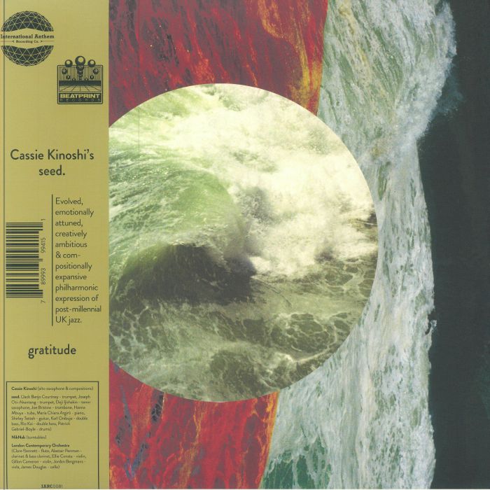 Gratitude - Vinyl LP vinyl record cover