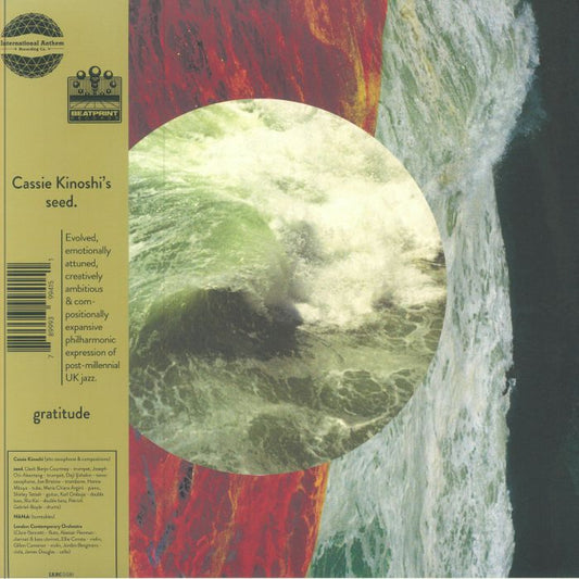 Gratitude - Vinyl LP vinyl record cover