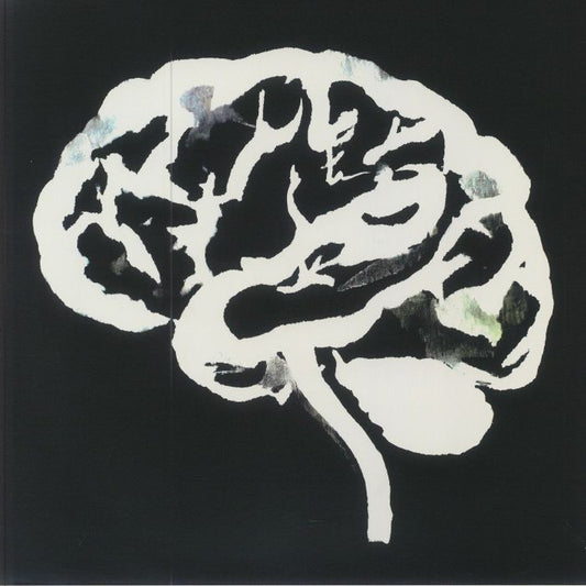 Brain Flakes - Vinyl LP vinyl record cover