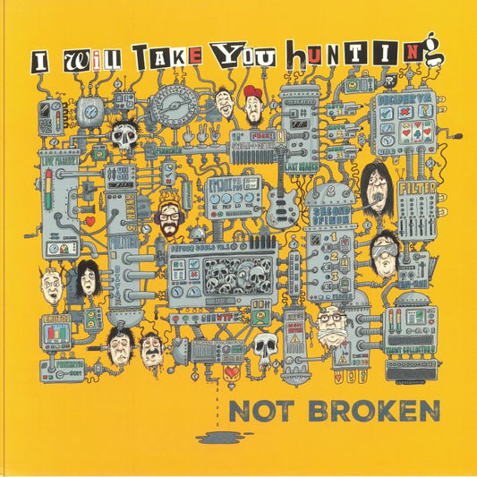 Not Broken - Vinyl LP vinyl record cover