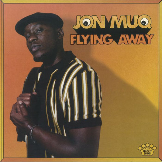Flying Away - Vinyl LP vinyl record cover
