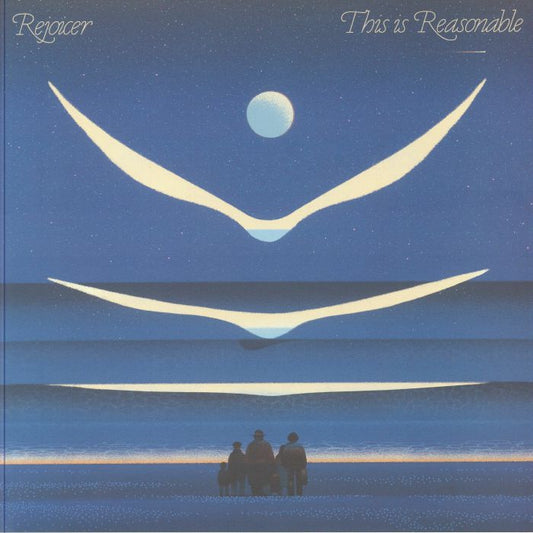 This Is Reasonable - Vinyl LP vinyl record cover