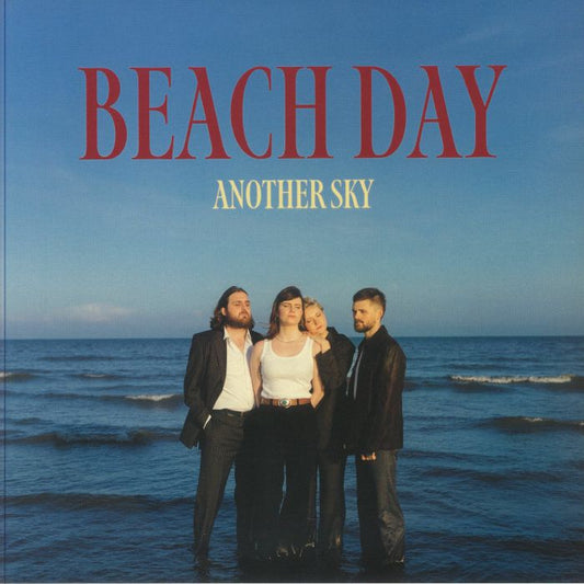 Beach Day - Vinyl LP vinyl record cover