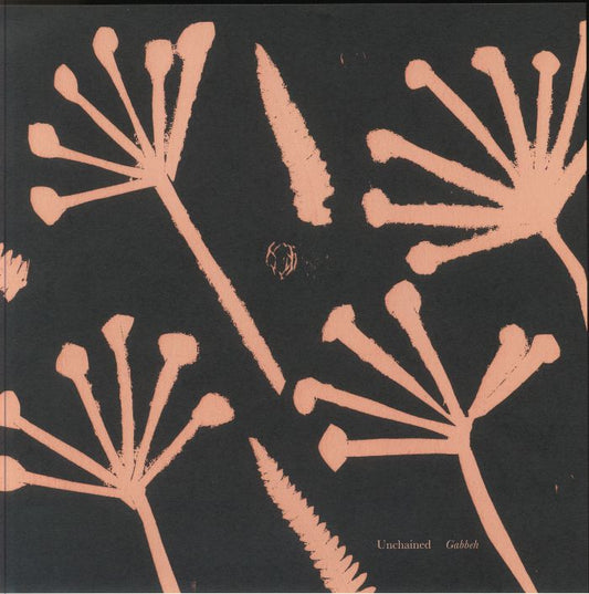 Gabbeh - Vinyl LP vinyl record cover