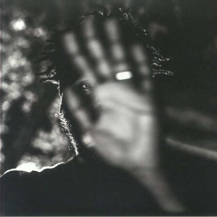 JPEG Raw - Deluxe Edition 2xLP vinyl record cover