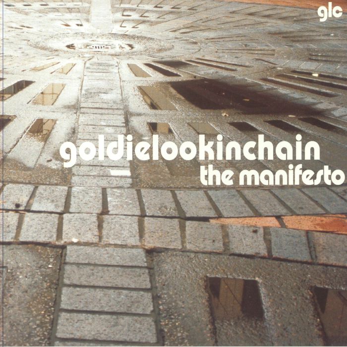 The Manifesto - Vinyl LP vinyl record cover