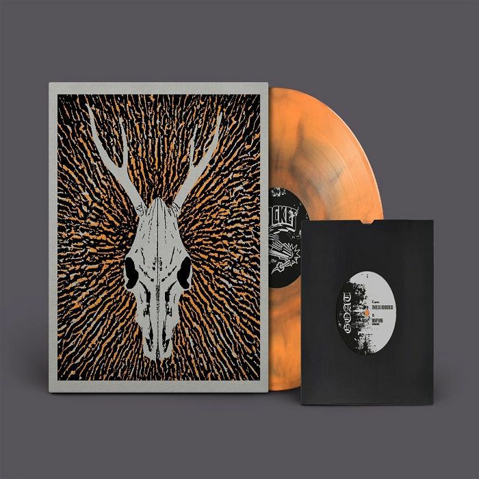 The Gallows Pole: This Valley Will Rise - LP + 7-inch Single vinyl record cover