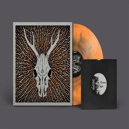 The Gallows Pole: This Valley Will Rise - LP + 7-inch Single vinyl record cover