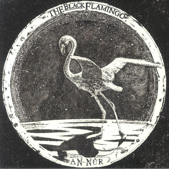 An Nur - Vinyl LP vinyl record cover