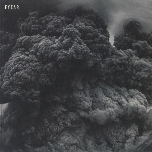 Fyear - Vinyl LP vinyl record cover
