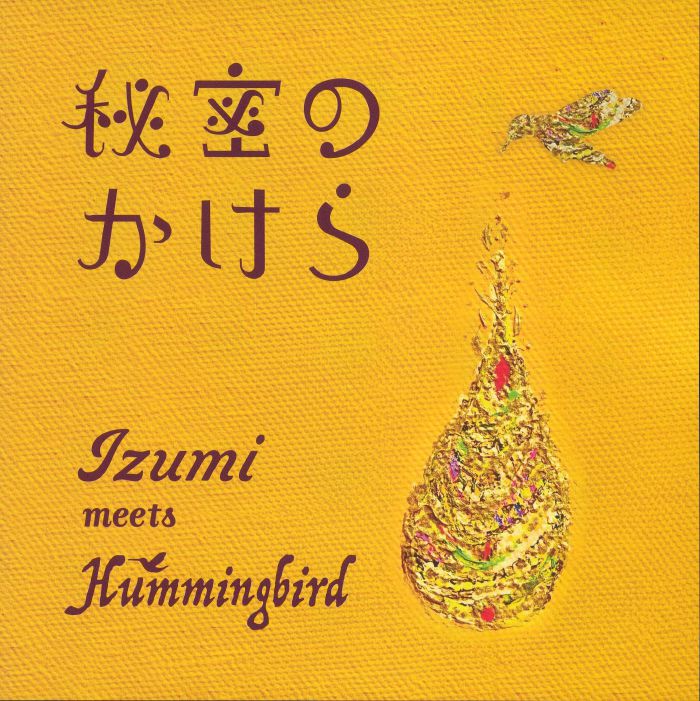 Himitsu No Kakera - Vinyl Single vinyl record cover