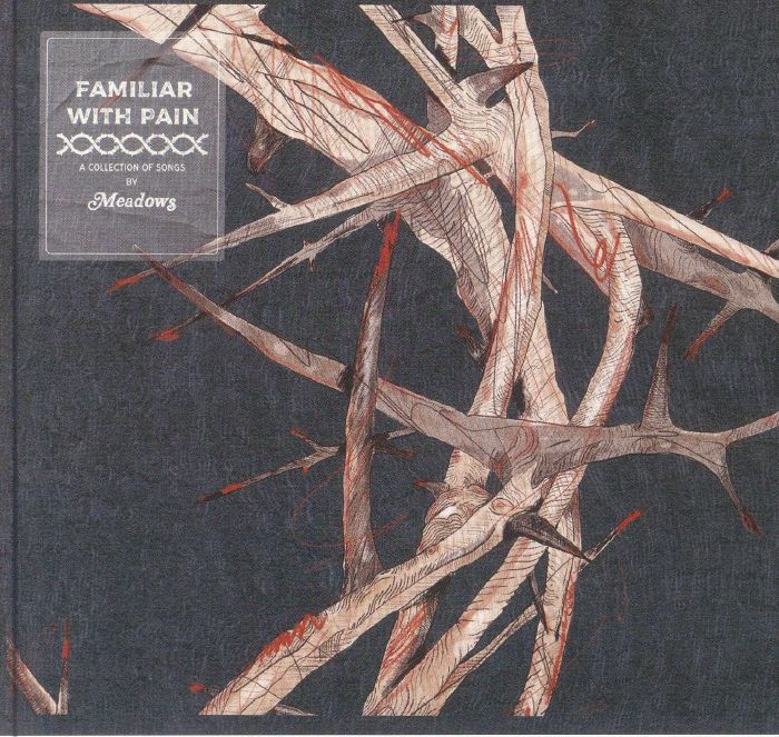 Familiar With Pain - CD CD cover