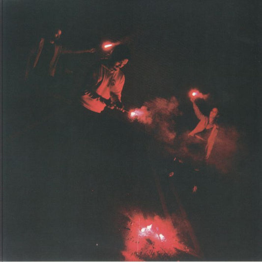 All You Got - Vinyl LP vinyl record cover