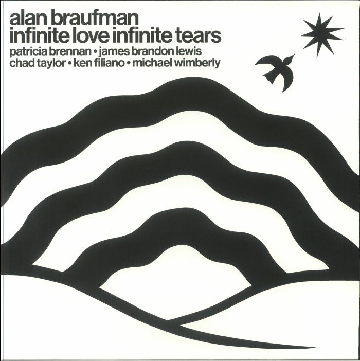 Infinite Love Infinite Tears - Vinyl LP vinyl record cover