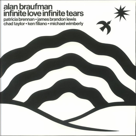 Infinite Love Infinite Tears - Vinyl LP vinyl record cover