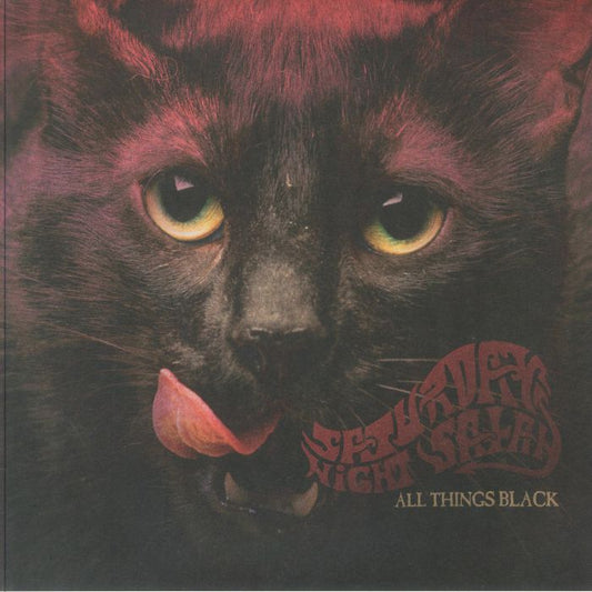 All Things Black - Vinyl LP vinyl record cover
