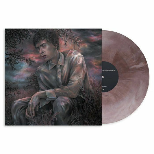 Later That Day, The Day Before, Or The Day Before That - Stormcloud Vinyl LP vinyl record cover