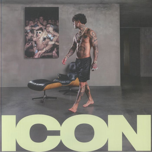 Icon - Vinyl LP vinyl record cover
