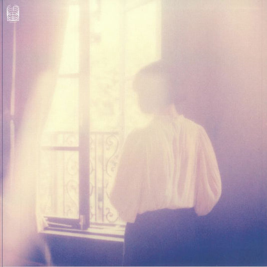 The Faintest Hint - Vinyl LP vinyl record cover