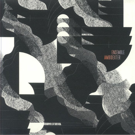 Ensemble Ambidexter - Vinyl LP vinyl record cover