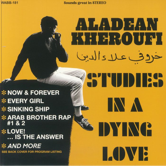 Studies In A Dying Love - Vinyl LP vinyl record cover