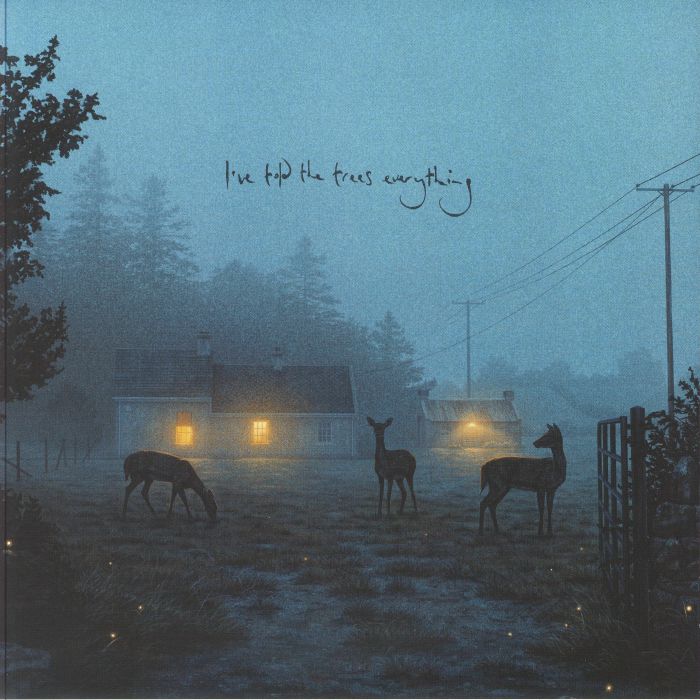 I've Told The Trees Everything - Vinyl EP vinyl record cover