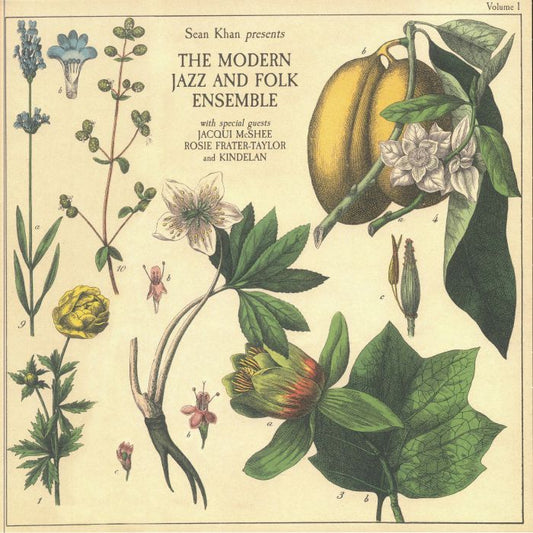 Sean Khan Presents The Modern Jazz & Folk Ensemble Vol 1 - Vinyl LP vinyl record cover