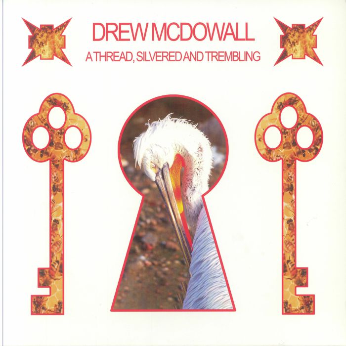 A Thread Silvered & Trembling - Vinyl LP vinyl record cover