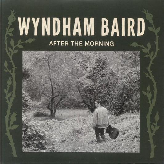 After The Morning - Vinyl LP vinyl record cover