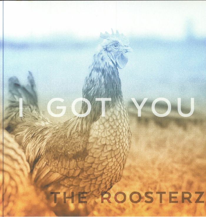 I Got You - Vinyl Single vinyl record cover